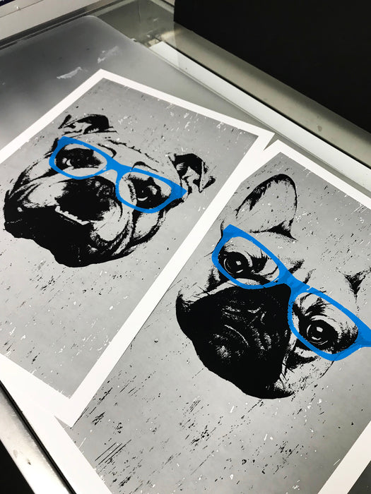 Limited Edition French Bulldog with Blue Glasses Art Poster / Print - 13x19"